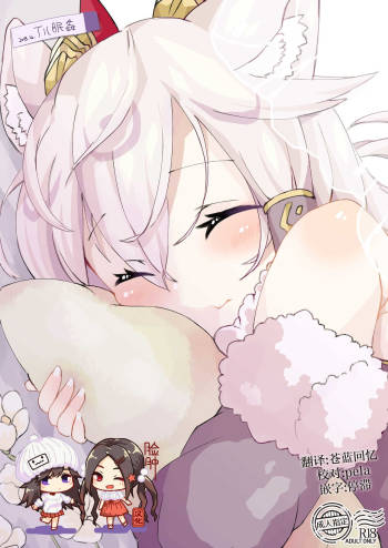 Iru Minkan cover