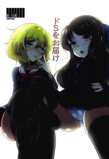 Do-S o Otodoke cover