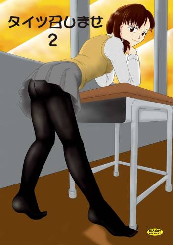 Tights Meshimase 2 cover