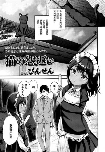 Neko no Ongaeshi cover