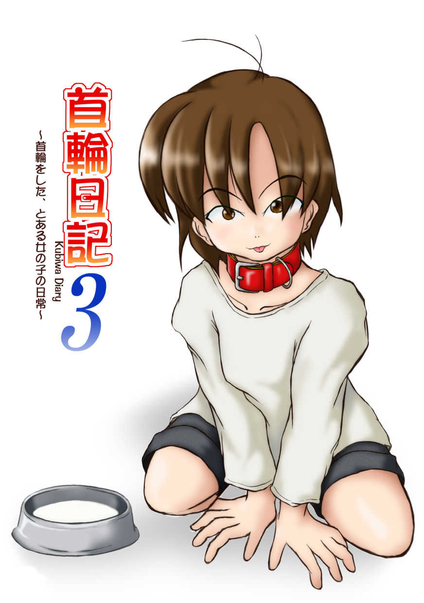 Kubiwa Diary 3 page 1 full