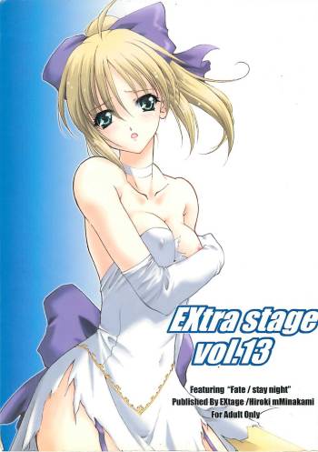 EXtra stage vol. 13 cover