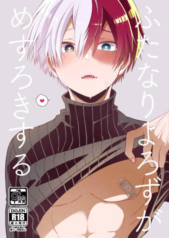 ふたなりよろずがめすろきする cover