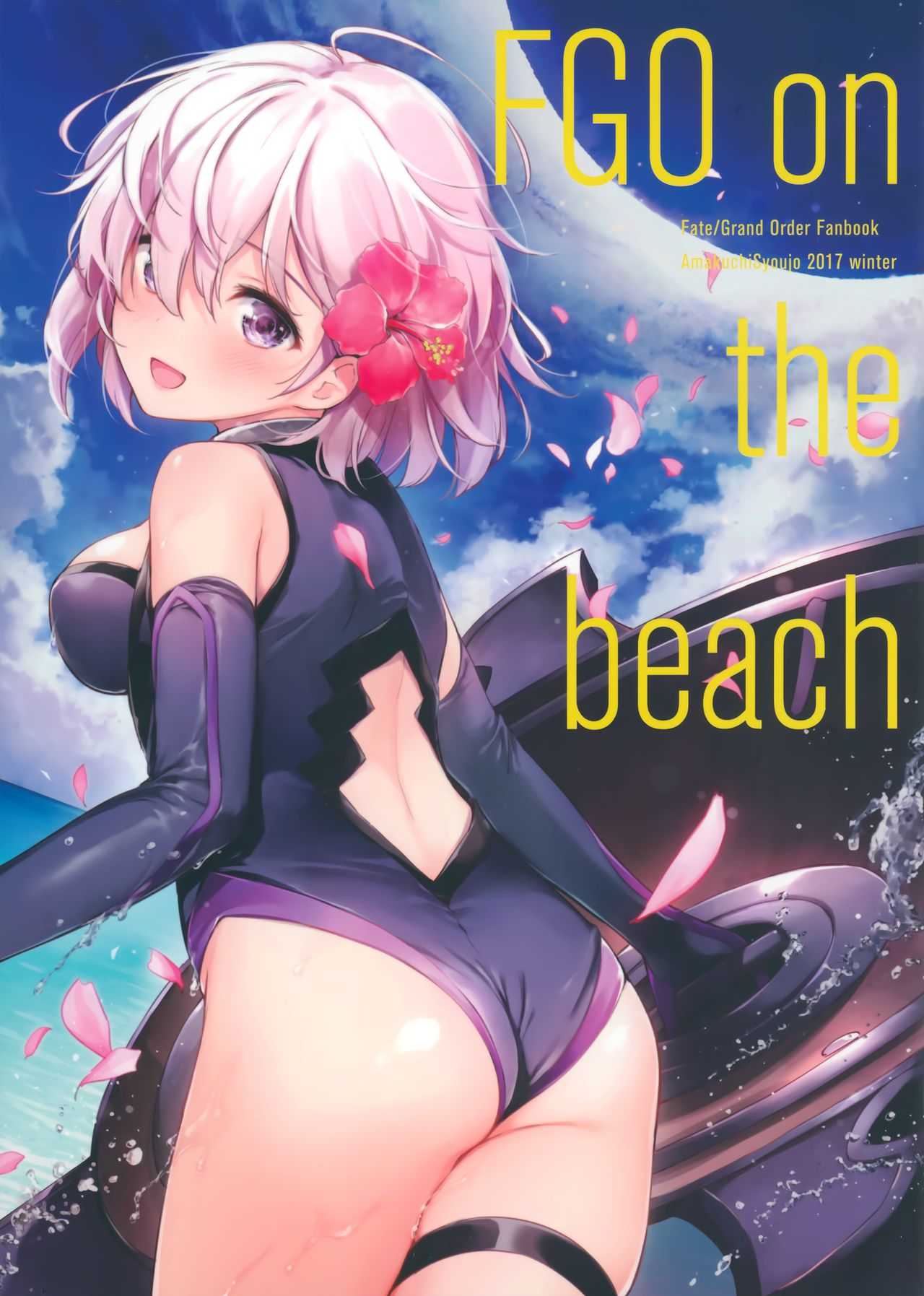 FGO on the beach page 1 full