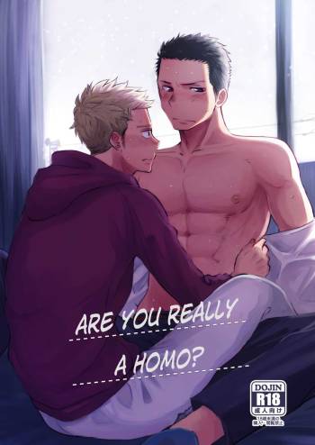 Honto ni Homo na no? cover
