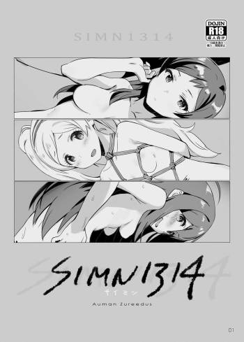 SIMN314 cover