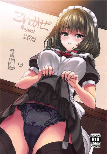 Koikaze Project 2-shakume cover
