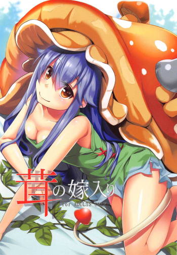 Kinoko no Yomeiri cover