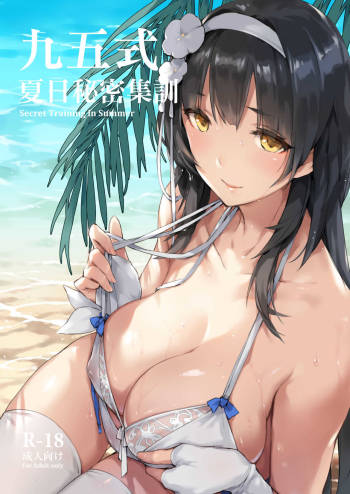 Type 95 summer secret training cover