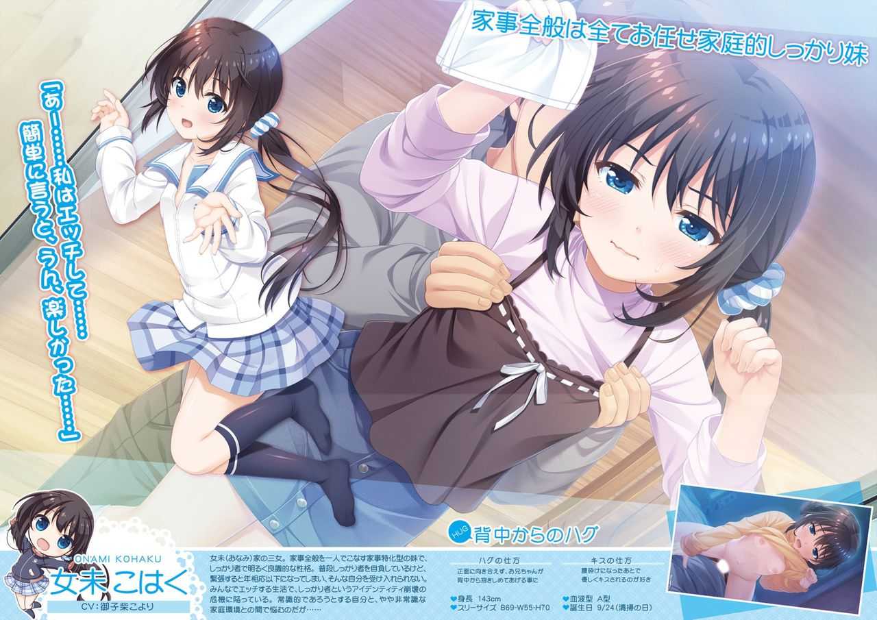 Onii-chan, Asa Made Zutto Gyu te Shite! Yoru Made Motto Ecchi Shite! Visual Guide Book page 5 full