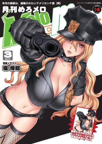 月刊めろメロ 2013年3月号 cover