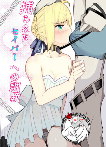 Toraeta Saber e no Choukyou cover