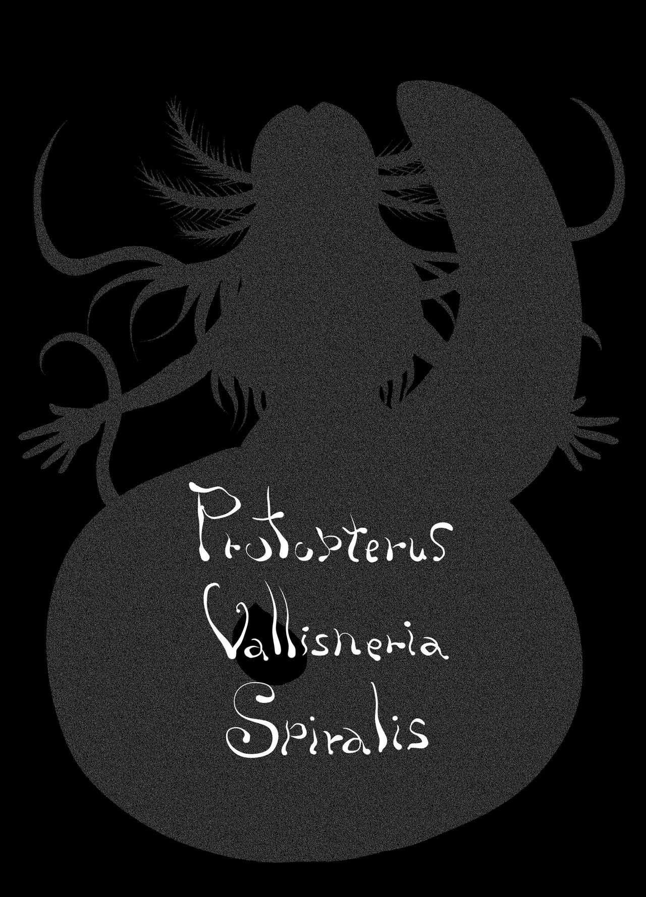 Protopterus Vallisneria Spiralis page 6 full