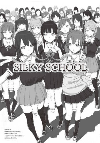 The SILKY SCHOOL cover