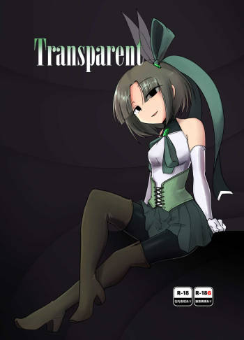 Transparent cover