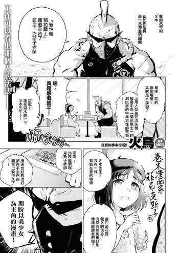 Kono Uchiawase wa Fiction desu. cover