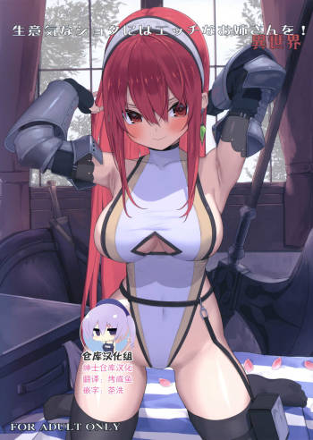 Namaiki na Shota ni wa Ecchi na Onee-san o! Isekai cover