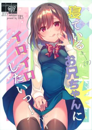 Neteiru  Onii-chan ni Iroiro Shitai! cover