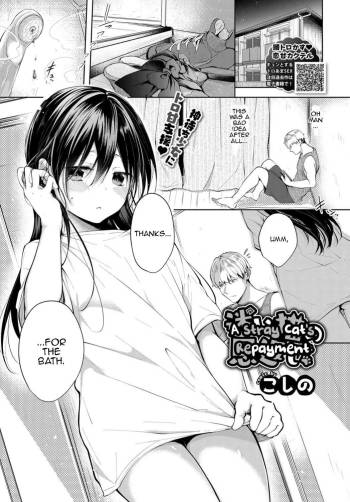 Mayoineko no Ongaeshi - A Stray Cat's Repayment cover