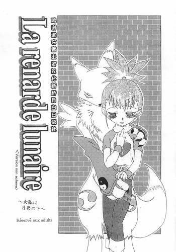 La renarde lunaire cover