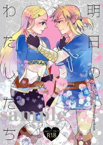 Doujinshi - The Legend of Zelda / Link x Princess Zelda cover