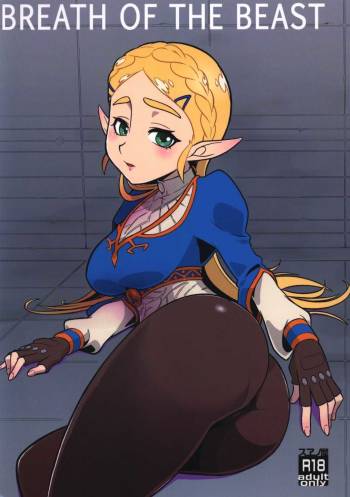 Doujinshi - The Legend of Zelda cover