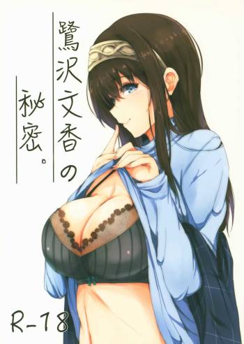 Sagisawa Fumika no Himitsu. cover