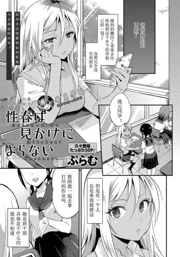 性春は見かけによらない【希月学园汉化组】 cover