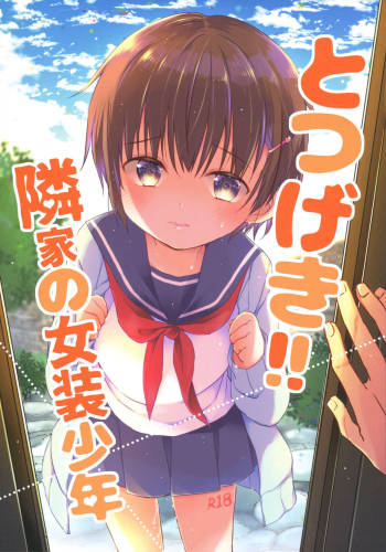 Totsugeki! Rinka no Josou Shounen cover