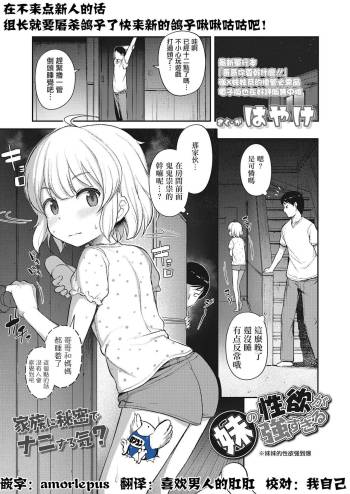 Imouto no Seiyoku ga Tsuyosugiru cover