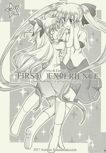 FIRSTEXPERIENCE cover