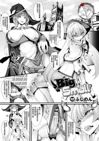 Big or Small? cover