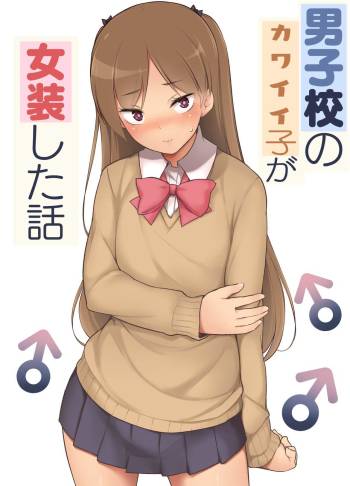 Danshikou no Kawaii Ko ga Josou Shita Hanashi cover