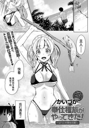 奉仕種族がやってきた!~ようこそ奉仕の島~ cover