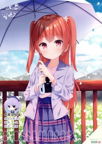 BLOSSOMDROPS cover