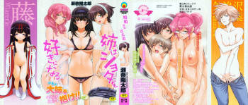 Ane wa Shota o Suki ni Naru cover