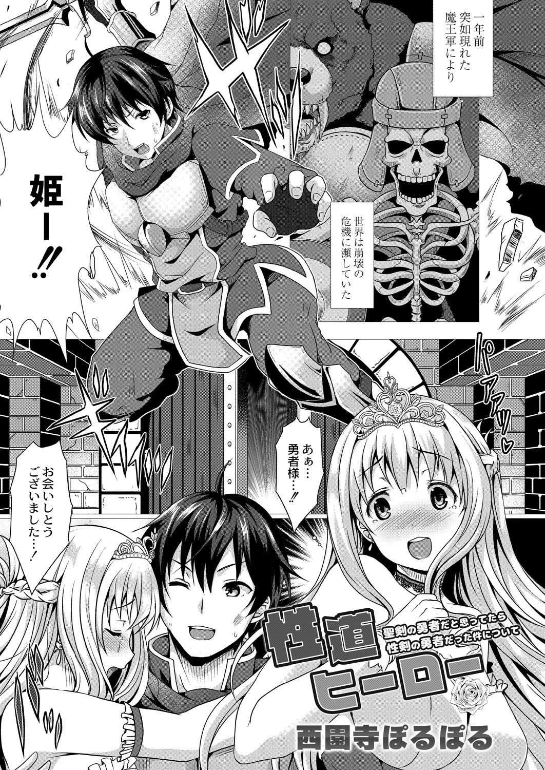 Seidou Hero 1 Seiken no Yuusha da to Omottetara Seiken no Yuusha datta Ken ni Tsuite page 3 full