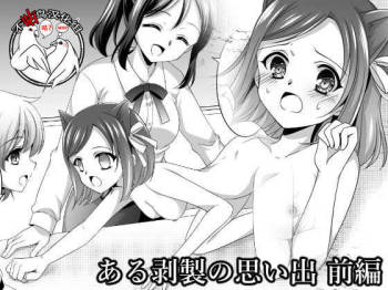 Aru Hakusei no Omoide cover