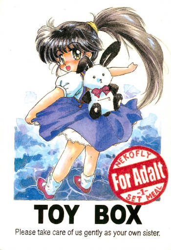 TOY BOX cover