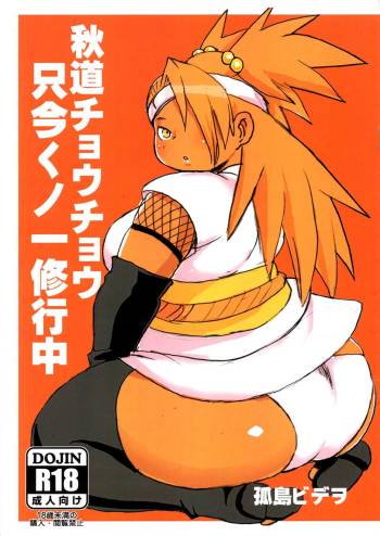 Akimichi Chocho Tadaima Kunoichi Shugyochu cover