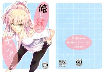 Ore to Imouto no Naishogoto 2 cover
