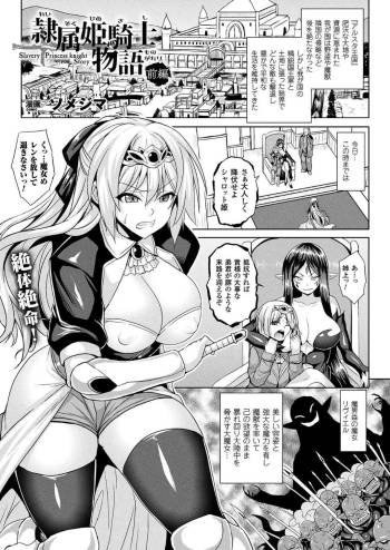 Reizoku hime kishi monogatari cover