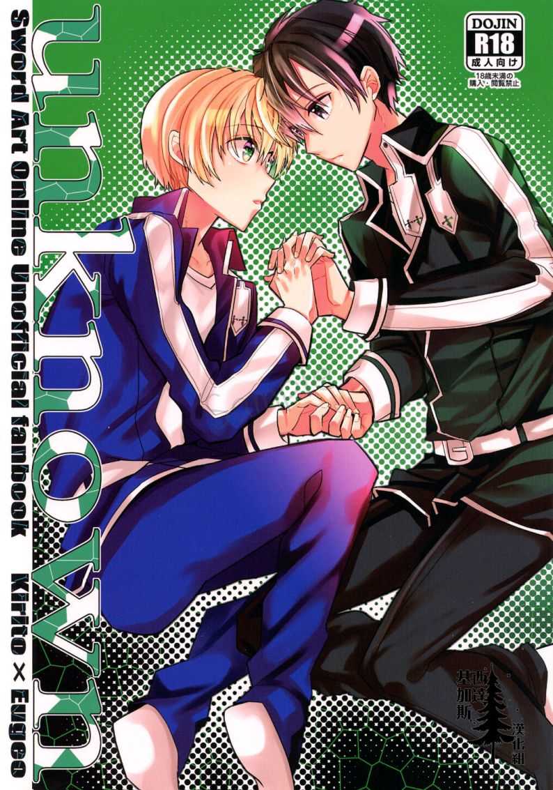 unknown Sword Art OnIine Unoficial fanbook KritoX eugeo page 1 full
