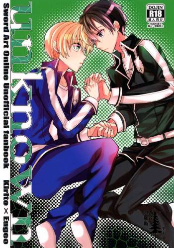unknown Sword Art OnIine Unoficial fanbook KritoX eugeo cover