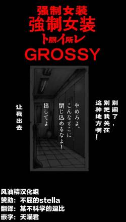 Kyousei Josou Toilet grossy cover