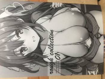 Rough Collection 01 cover