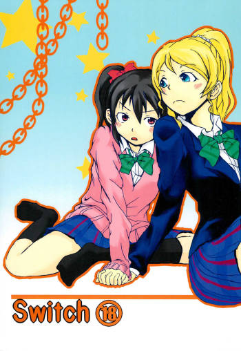 Switch cover