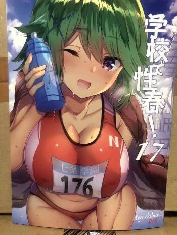 Gakkou de Seishun! 17 cover