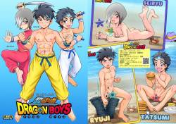 Chou Shinka DORAGON BOYS