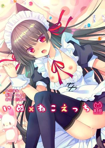Inu × Neko Ecchi cover